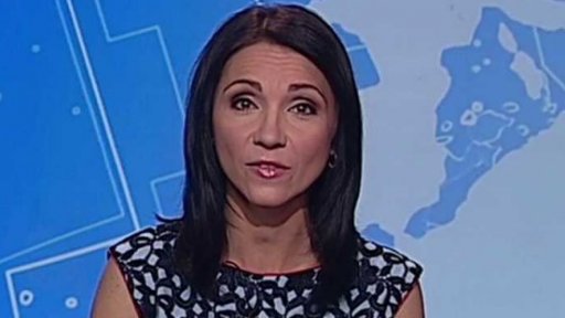 Zpravodajský servis