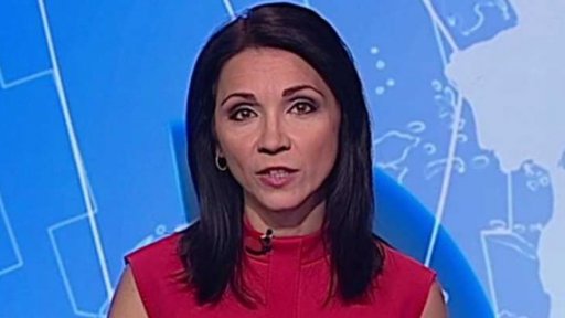 Zpravodajský servis