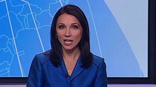 Zpravodajský servis