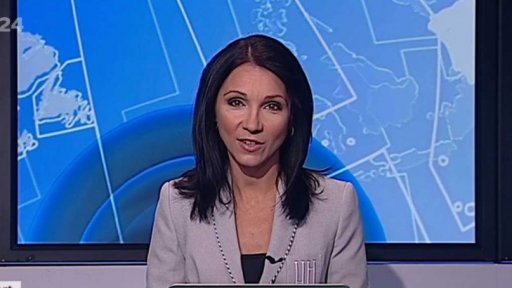 Zpravodajský servis