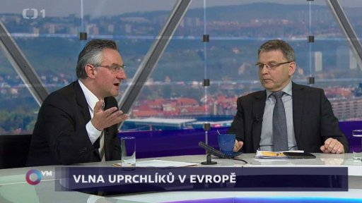 Lubomír Zaorálek (ČSSD), ministr zahraničních věcí, místopředseda strany; Jan Zahradil (ODS), poslanec EP, 1. místopředseda strany