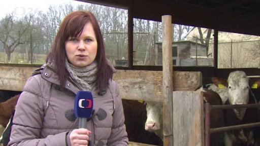 Ekonomika rostla pomaleji, než se čekalo - úvod