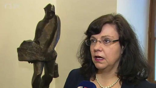 Nedostatečná podpora rodin s dětmi