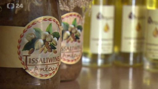 Ženská kooperativa v Maroku