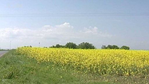 Další podpora biopaliv v Česku - úvod