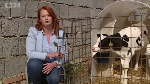 Vzrostla výroba masa a mléka - úvod