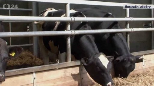 Úsporná opatření pro skladování masa