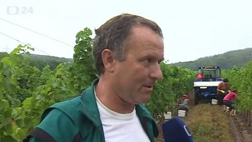 Zemědělci vítají déšť