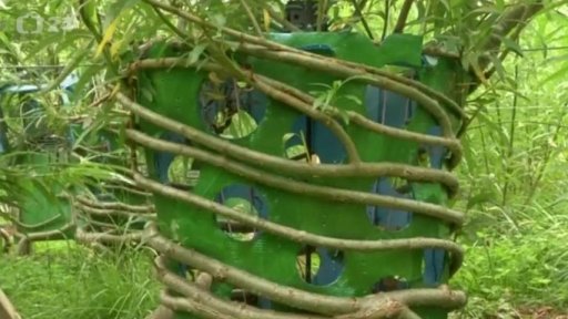 Nábytek z jediného kusu dřeva