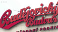 Spory AB InBev s Budějovickým Budvarem