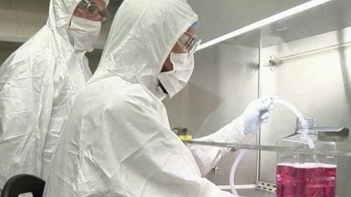 Jak se vyrábí lék proti ebole