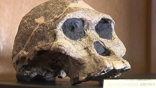 Objev ostatků nejstaršího člověka