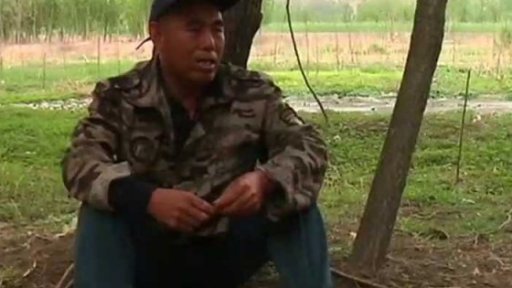 Muži, kteří sázejí stromy