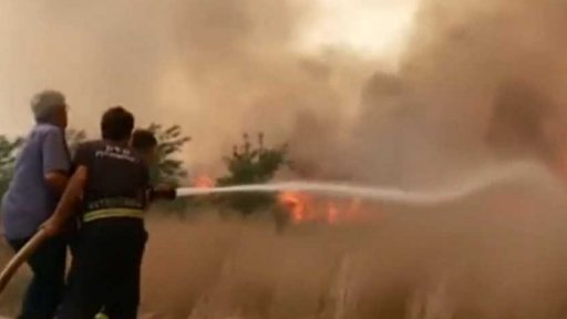 Chorvatsko sužují lesní požáry