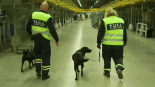 Černý trh s falešnými evropskými pasy