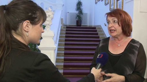 Sladění pracovního a rodinného života