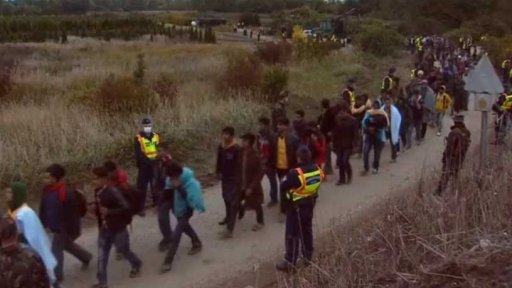 Pravidla pro udělování azylu