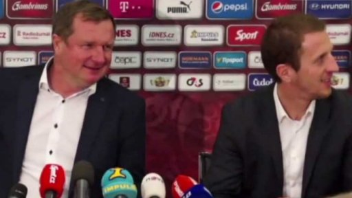 Kauza Davida Limberského