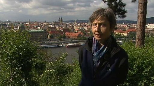 Cena Pavla Kouteckého