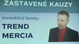 Zastavené kauzy díky amnestii (2013)