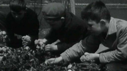 Šťastná mladá generace komunismu (1960)