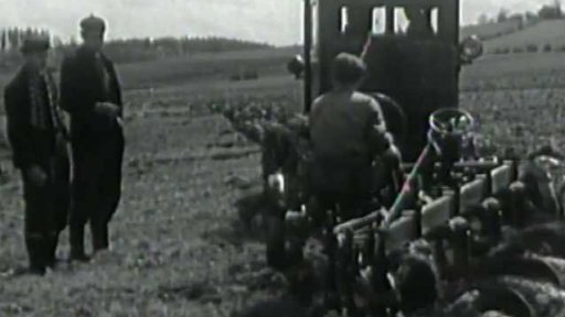 Mládež zvelebuje pohraničí (1955)