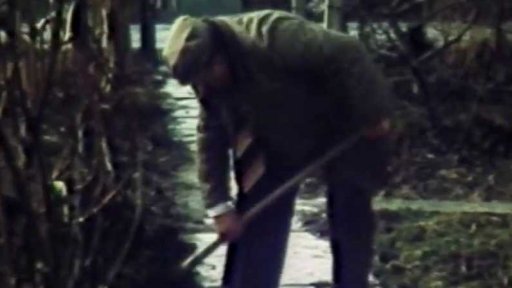 Rekordní lednové teplo a zahrádkáři (1983)