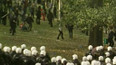 Zraněni policisté i demonstranti (2000)
