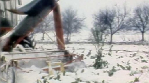 Sklizeň ve sněhu (1985)