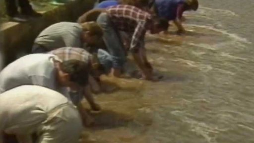 Mistrovství ČSSR v rýžování zlata (1987)