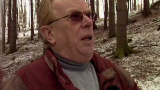 Štěchovický poklad (2006)