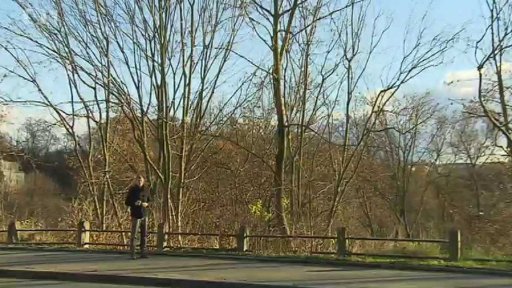 Pražané proti kácení