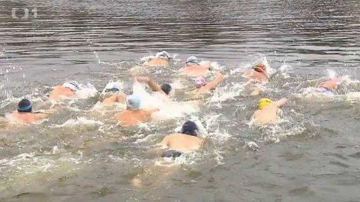 Otužilci ve Vltavě