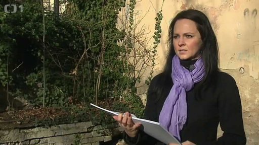 Co vznikne z Werichovy vily