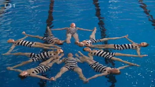 Mezinárodní závody krasoplavců