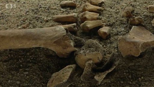 Pravěké hroby v Muzeu havního města Prahy