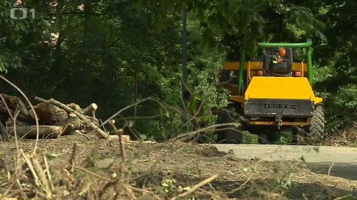 Nechtěná rekonstrukce sadů Na Skalce
