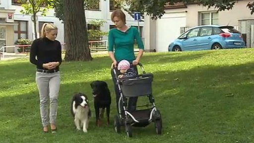 Psí vyhláška má mnoho odpůrců