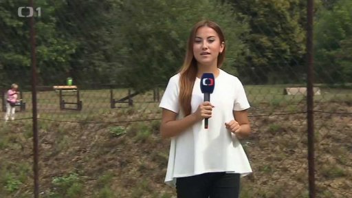 Psí hřiště na Letné