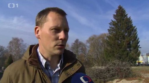 Vánoční strom pro Prahu vytipován