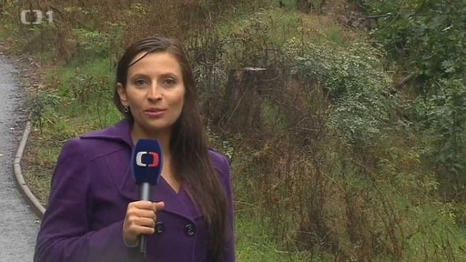 Třešňovka v rekonstrukci