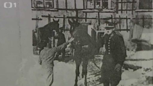 Upoutávka na Octárnu