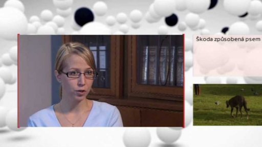 Škoda způsobená psem