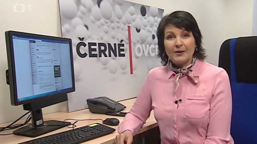 Přehled odvysílaných reportáží