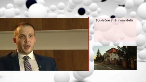 Společné jmění manželů