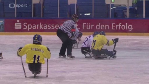 Mezinárodní turnaj ve sledgehokeji