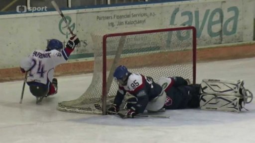 Sledgehokejové utkání Česko vs. Slovensko
