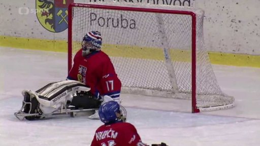 Mezinárodní turnaj ve sledgehokeji