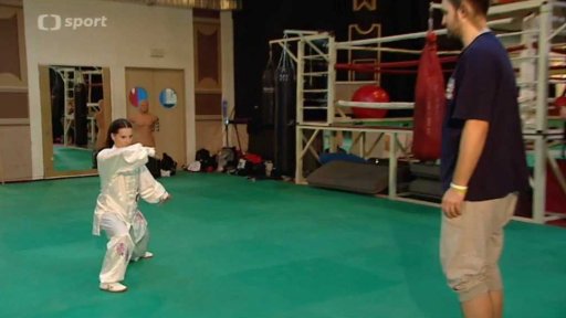 Wu-šu na vlastní kůži