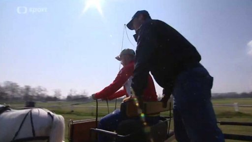 Vozatajem na vlastní kůži